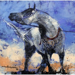 Shan Amrohvi, 12 x 12 inch, Acrylic On Canvas, Horse Painting, AC-SA-147